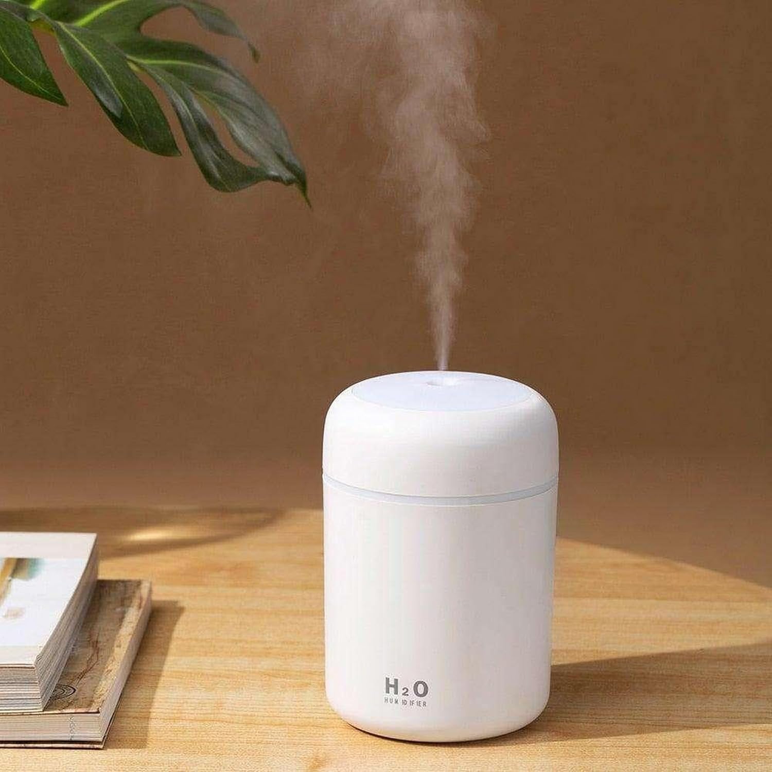 Portable Mini Humidifier Review